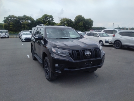 TOYOTA LAND CRUISER PRADO.
