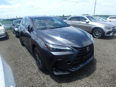 LEXUS NX250t