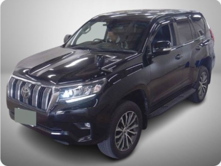 TOYOTA LAND CRUISER PRADO.