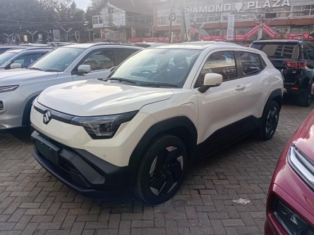SUZUKI E-VITARA ALPHA ELECTRIC