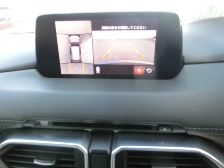 Smart Auto