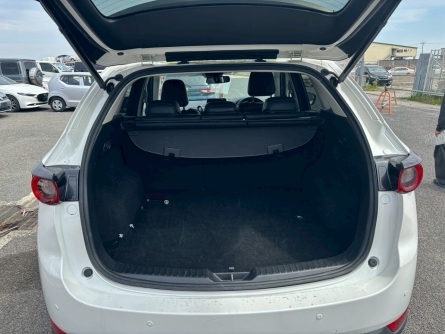 Smart Auto