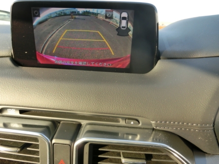 Smart Auto