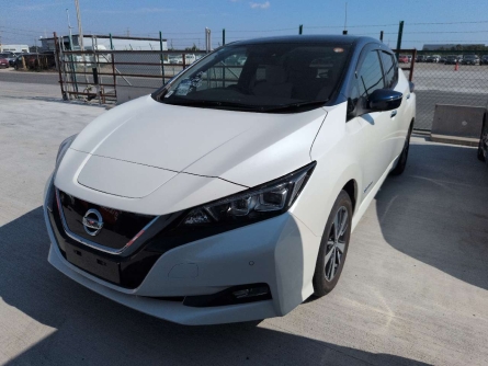NISSAN LEAF ELECTRIC