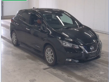 NISSAN LEAF ELECTRIC