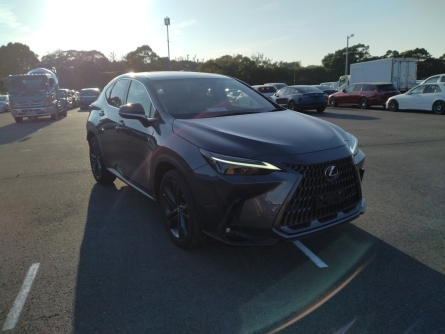 LEXUS NX350H