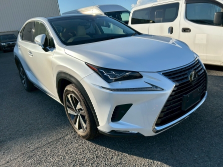 LEXUS NX300
