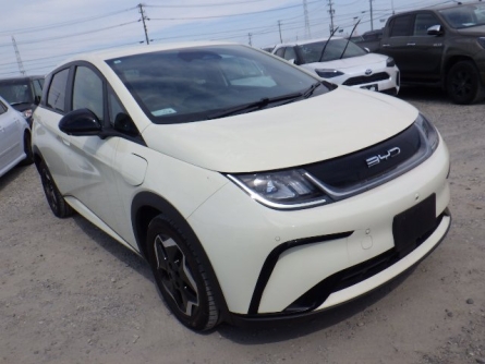BYD DOLPHIN ELECTRIC