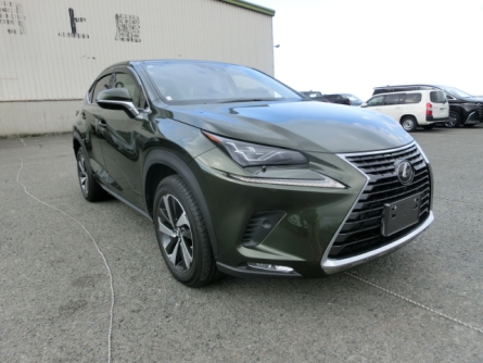 LEXUS NX300