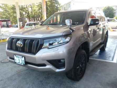 TOYOTA LAND CRUISER PRADO.