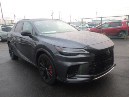 LEXUS RX500H