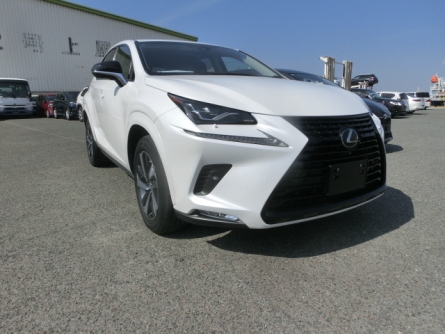 LEXUS NX300