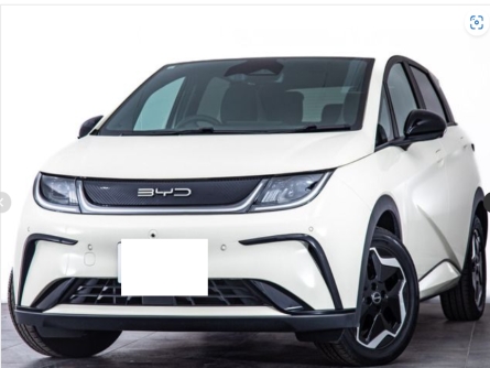 BYD DOLPHIN