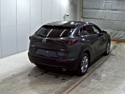 Smart Auto