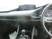 Smart Auto
