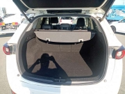 Smart Auto