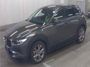 Smart Auto