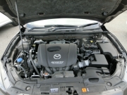 Smart Auto