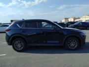 Smart Auto