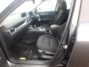 Smart Auto