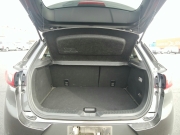Smart Auto